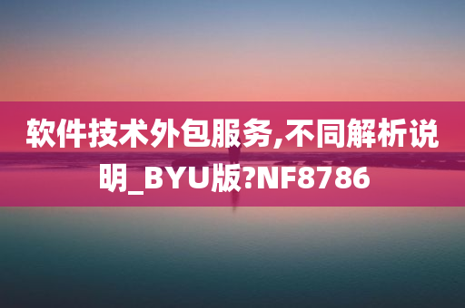 软件技术外包服务,不同解析说明_BYU版?NF8786