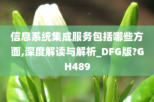 信息系统集成服务包括哪些方面,深度解读与解析_DFG版?GH489