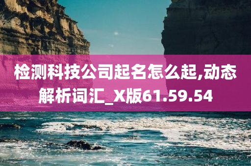 检测科技公司起名怎么起,动态解析词汇_X版61.59.54