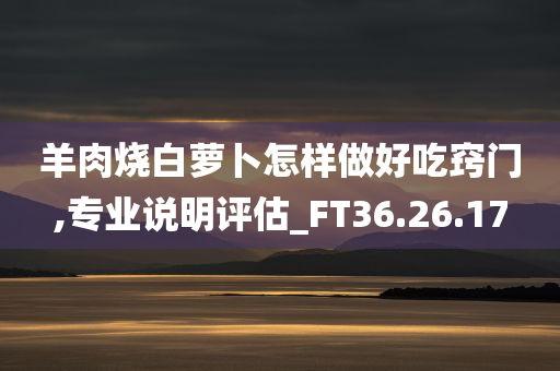 羊肉烧白萝卜怎样做好吃窍门,专业说明评估_FT36.26.17