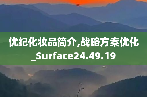 优纪化妆品简介,战略方案优化_Surface24.49.19