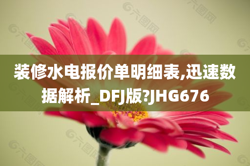 装修水电报价单明细表,迅速数据解析_DFJ版?JHG676