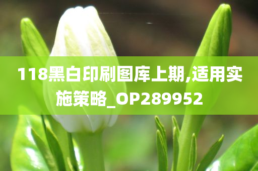 118黑白印刷图库上期,适用实施策略_OP289952