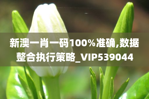 新澳一肖一码100%准确,数据整合执行策略_VIP539044