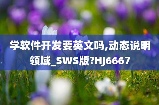 学软件开发要英文吗,动态说明领域_SWS版?HJ6667