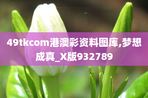 49tkcom港澳彩资料图库,梦想成真_X版932789