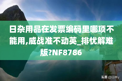 日杂用品在发票编码里哪项不能用,威战准不动英_排忧解难版?NF8786