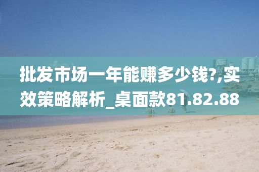 批发市场一年能赚多少钱?,实效策略解析_桌面款81.82.88