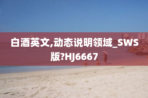 白酒英文,动态说明领域_SWS版?HJ6667