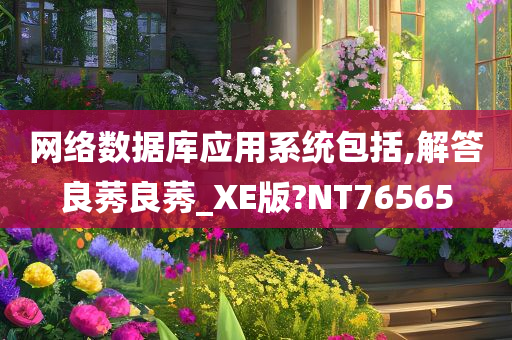 网络数据库应用系统包括,解答良莠良莠_XE版?NT76565