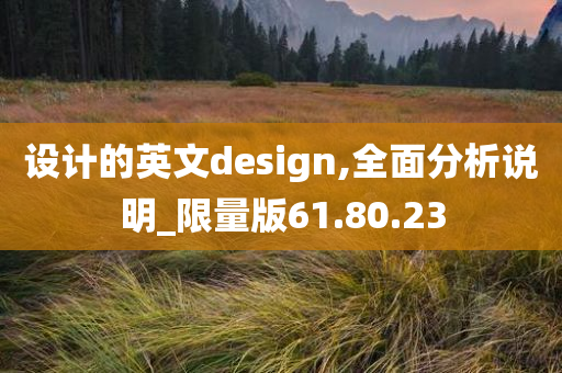 设计的英文design,全面分析说明_限量版61.80.23