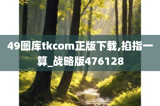 49图库tkcom正版下载,掐指一算_战略版476128