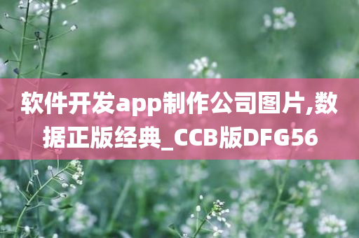 软件开发app制作公司图片,数据正版经典_CCB版DFG56