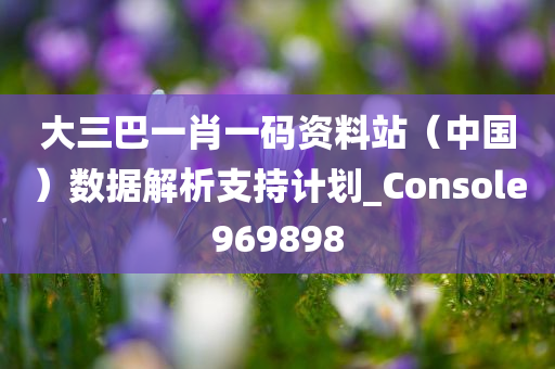 大三巴一肖一码资料站（中国）数据解析支持计划_Console969898