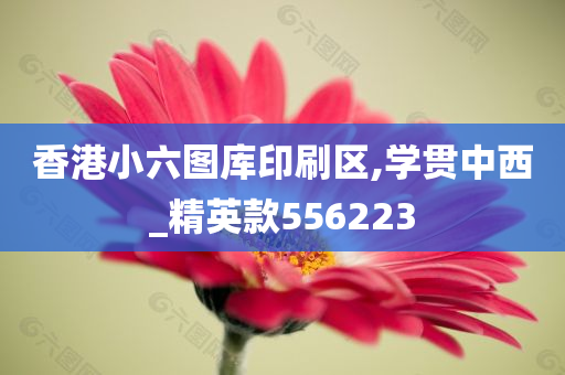 香港小六图库印刷区,学贯中西_精英款556223