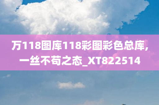 万118图库118彩图彩色总库,一丝不苟之态_XT822514