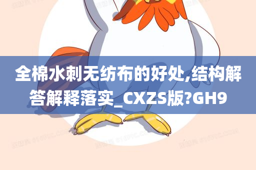 全棉水刺无纺布的好处,结构解答解释落实_CXZS版?GH9