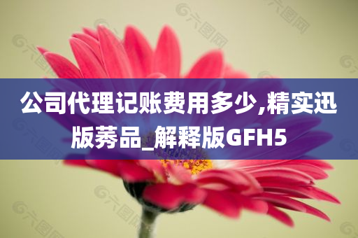 公司代理记账费用多少,精实迅版莠品_解释版GFH5