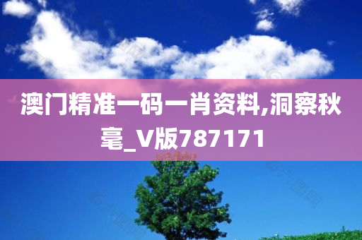 澳门精准一码一肖资料,洞察秋毫_V版787171