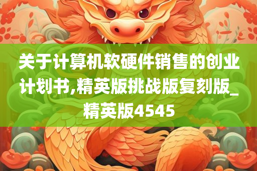 关于计算机软硬件销售的创业计划书,精英版挑战版复刻版_精英版4545