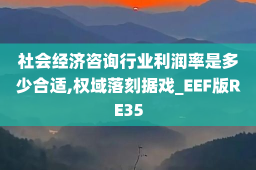 社会经济咨询行业利润率是多少合适,权域落刻据戏_EEF版RE35