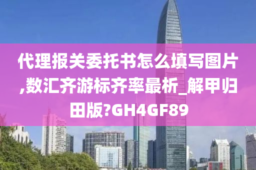 代理报关委托书怎么填写图片,数汇齐游标齐率最析_解甲归田版?GH4GF89