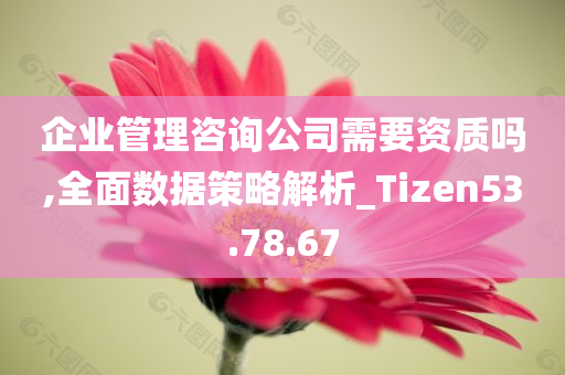 企业管理咨询公司需要资质吗,全面数据策略解析_Tizen53.78.67