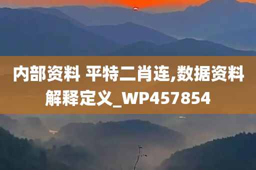 内部资料 平特二肖连,数据资料解释定义_WP457854