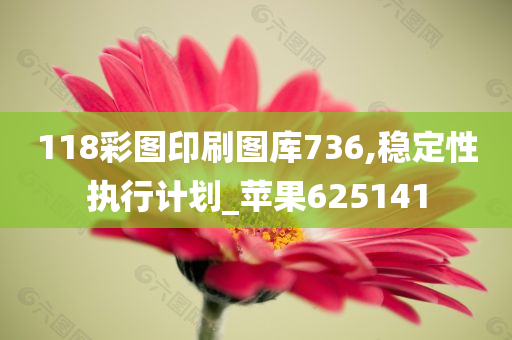 118彩图印刷图库736,稳定性执行计划_苹果625141