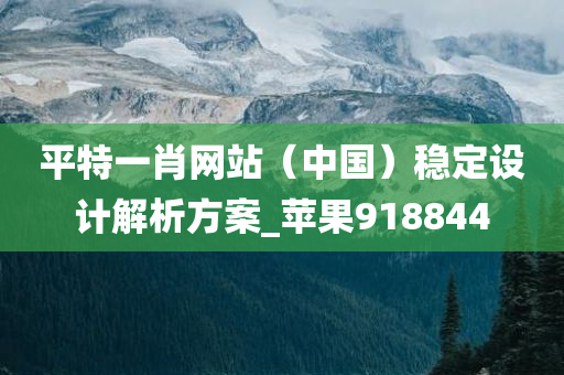 平特一肖网站（中国）稳定设计解析方案_苹果918844