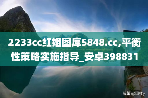 2233cc红姐图库5848.cc,平衡性策略实施指导_安卓398831