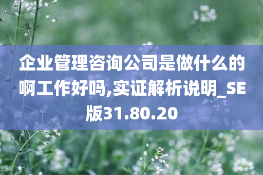 企业管理咨询公司是做什么的啊工作好吗,实证解析说明_SE版31.80.20