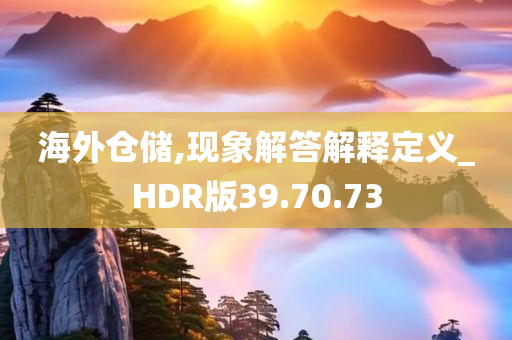 海外仓储,现象解答解释定义_HDR版39.70.73