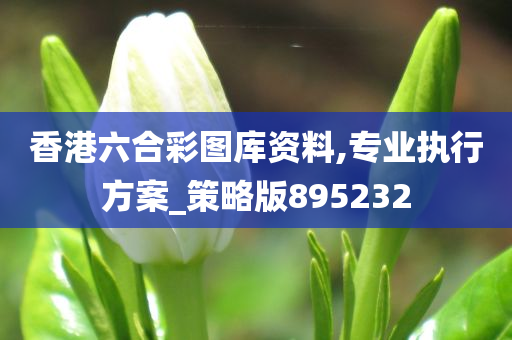 香港六合彩图库资料,专业执行方案_策略版895232