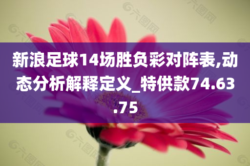 新浪足球14场胜负彩对阵表,动态分析解释定义_特供款74.63.75