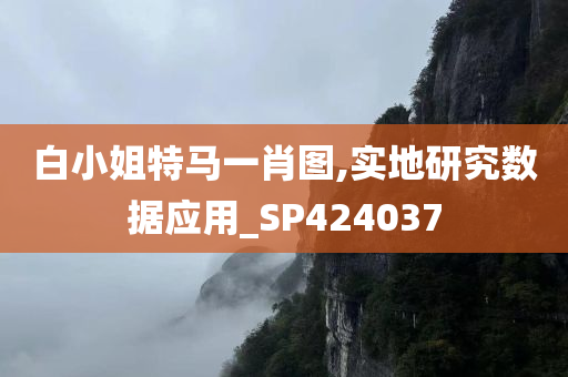 白小姐特马一肖图,实地研究数据应用_SP424037