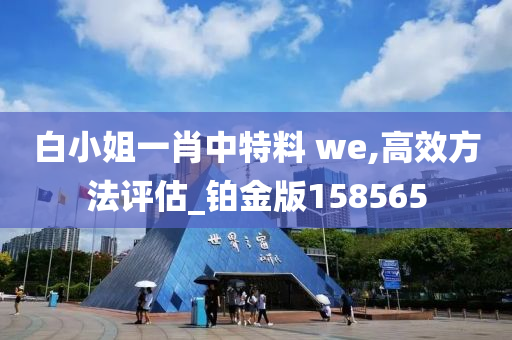 白小姐一肖中特料 we,高效方法评估_铂金版158565