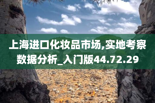 上海进口化妆品市场,实地考察数据分析_入门版44.72.29