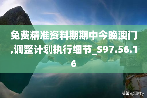 免费精准资料期期中今晚澳门,调整计划执行细节_S97.56.16