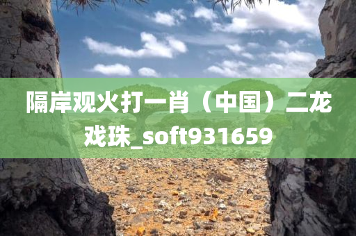 隔岸观火打一肖（中国）二龙戏珠_soft931659