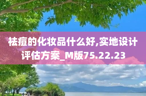 祛痘的化妆品什么好,实地设计评估方案_M版75.22.23