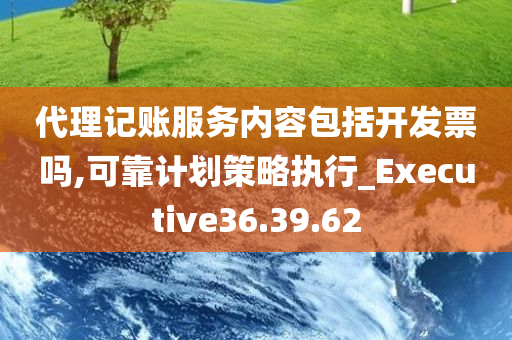 代理记账服务内容包括开发票吗,可靠计划策略执行_Executive36.39.62