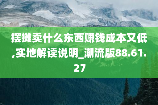 摆摊卖什么东西赚钱成本又低,实地解读说明_潮流版88.61.27