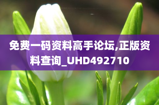 免费一码资料高手论坛,正版资料查询_UHD492710