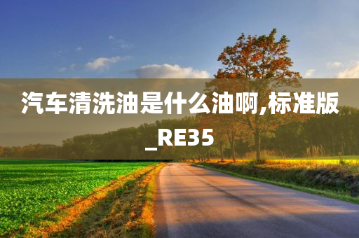 汽车清洗油是什么油啊,标准版_RE35