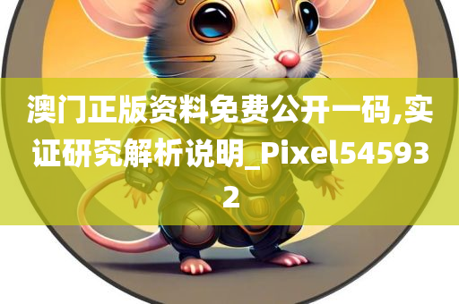 澳门正版资料免费公开一码,实证研究解析说明_Pixel545932