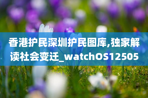 香港护民深圳护民图库,独家解读社会变迁_watchOS125050