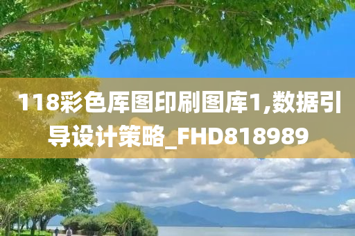 118彩色厍图印刷图库1,数据引导设计策略_FHD818989