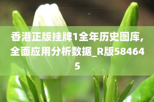 香港正版挂牌1全年历史图库,全面应用分析数据_R版584645