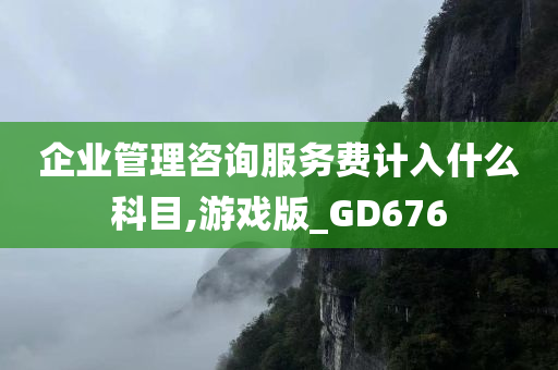 企业管理咨询服务费计入什么科目,游戏版_GD676